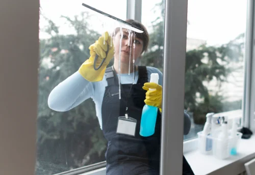 Nettoyage de vitres intérieures et extérieures à Giuncheto